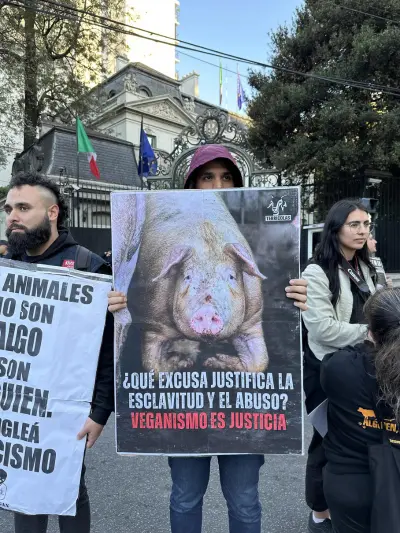 Activismo vegano de Terrícolas por los derechos de los animales no humanos